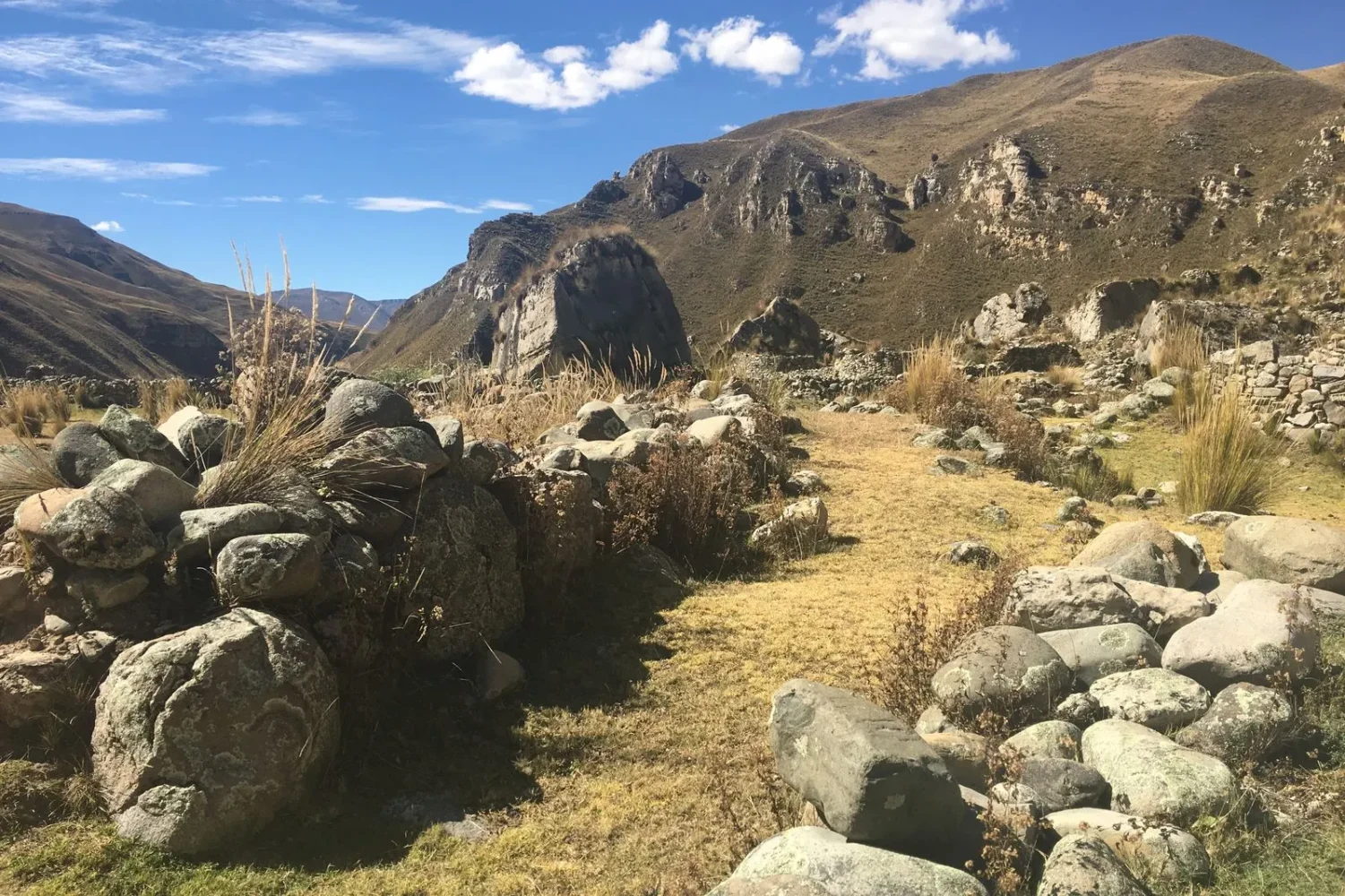 Tour Andes To The Coast en bicicleta