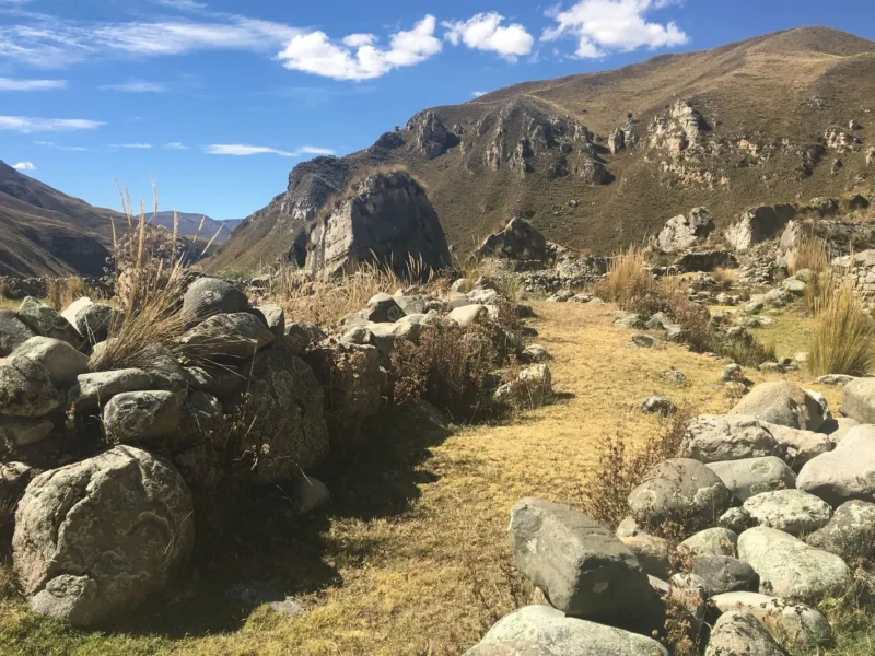 Tour Andes To The Coast en bicicleta